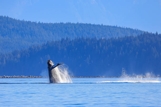 Vancouver Island